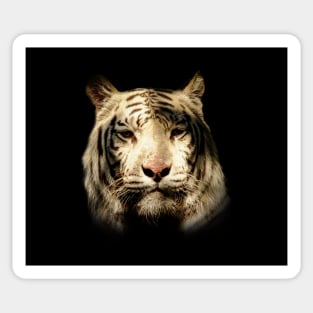 White tiger Sticker
